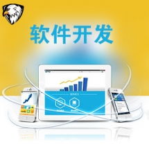 一品威客網軟件外包服務報價與收費解析 專業、透明、高性價比的開發選擇